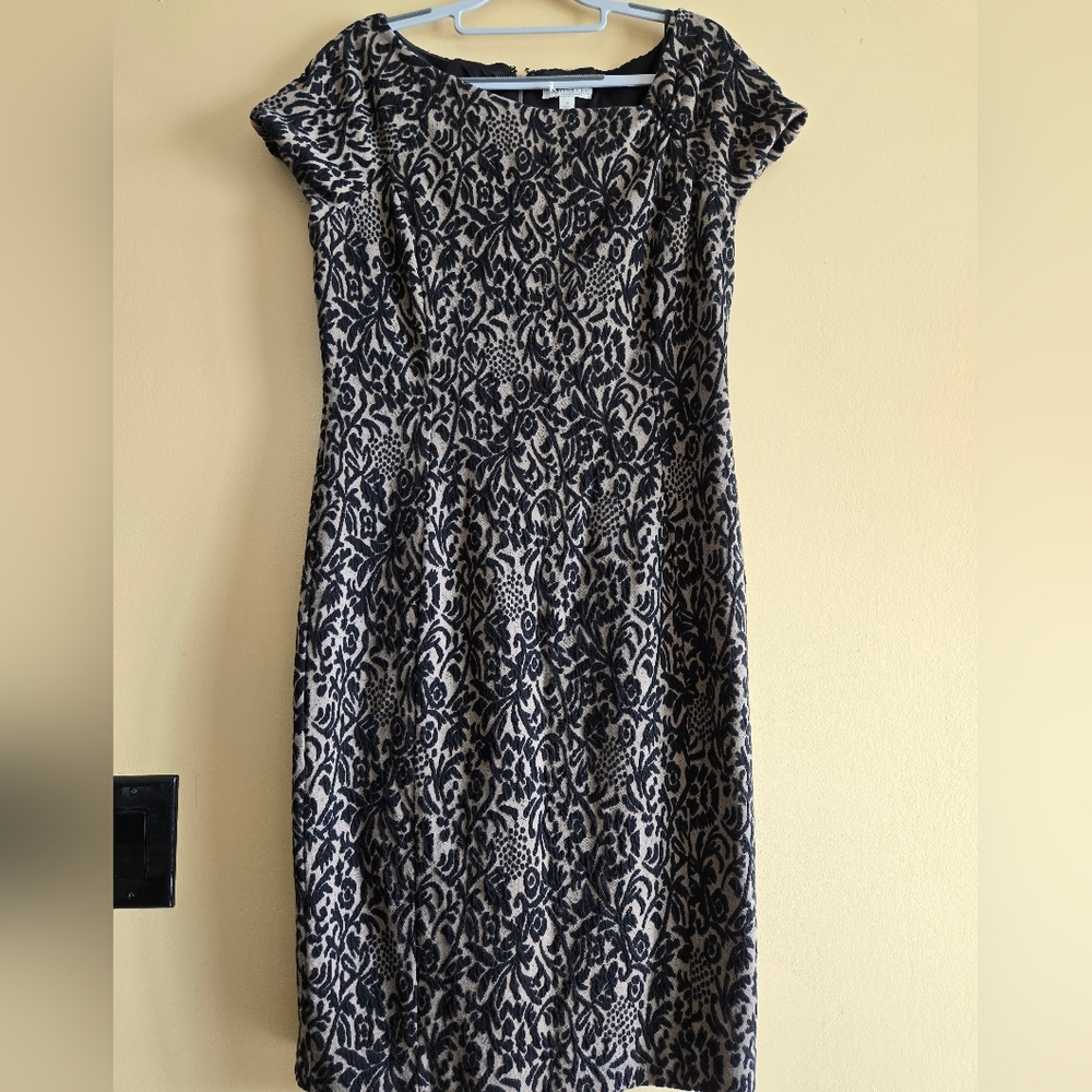 Eva Mendes for New York & Company Elegant Black and Cream Midi Dress